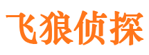 西陵外遇调查取证